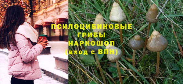 индика Баксан