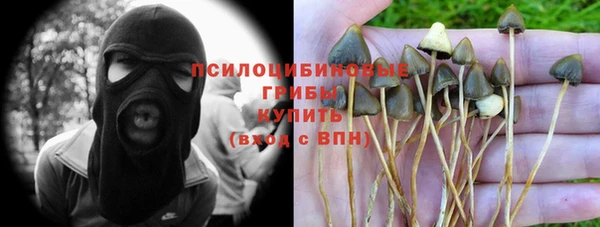 индика Баксан