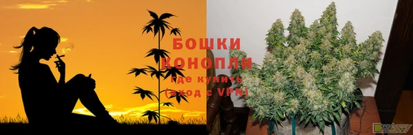 индика Баксан