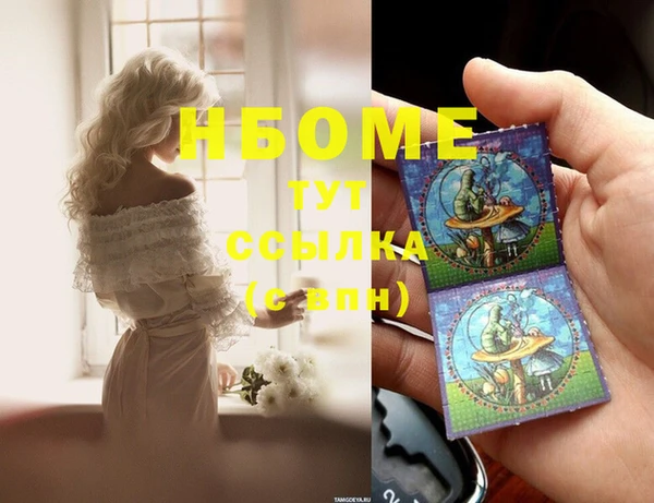 индика Баксан