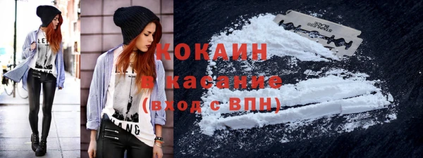 индика Баксан