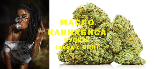 индика Баксан